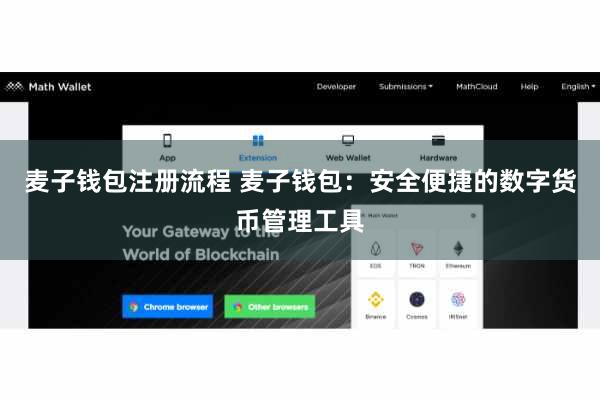 麦子钱包注册流程 麦子钱包：安全便捷的数字货币管理工具