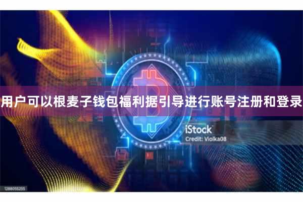 用户可以根麦子钱包福利据引导进行账号注册和登录