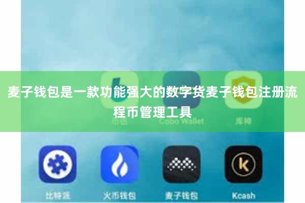 麦子钱包是一款功能强大的数字货麦子钱包注册流程币管理工具