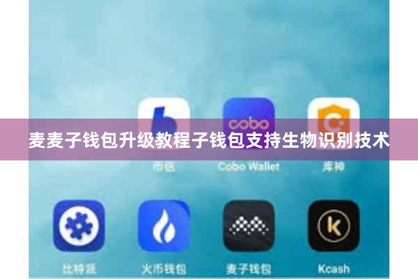 麦麦子钱包升级教程子钱包支持生物识别技术