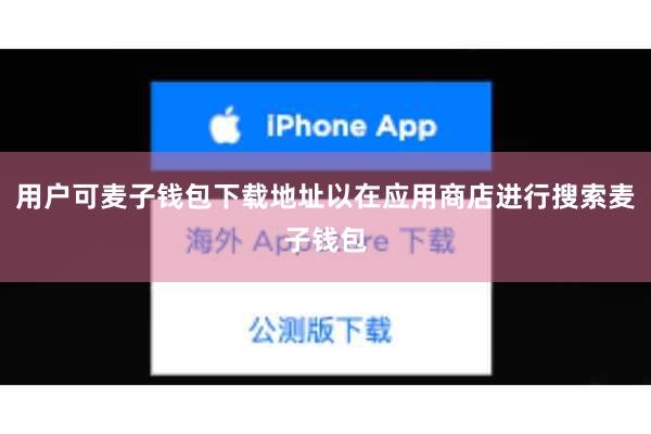 用户可麦子钱包下载地址以在应用商店进行搜索麦子钱包