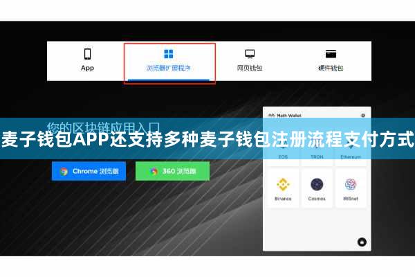 麦子钱包APP还支持多种麦子钱包注册流程支付方式