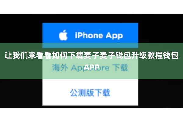 让我们来看看如何下载麦子麦子钱包升级教程钱包APP