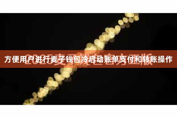 方便用户进行麦子钱包冷启动账单支付和转账操作