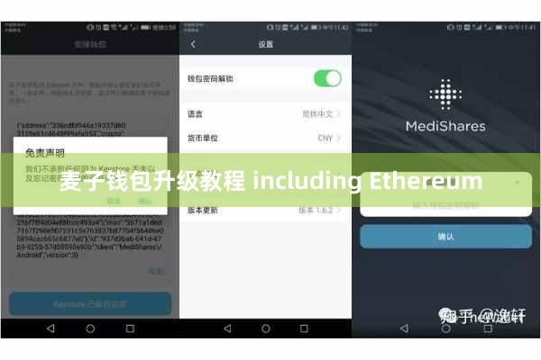 麦子钱包升级教程 including Ethereum