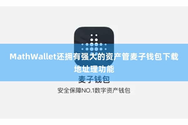 MathWallet还拥有强大的资产管麦子钱包下载地址理功能