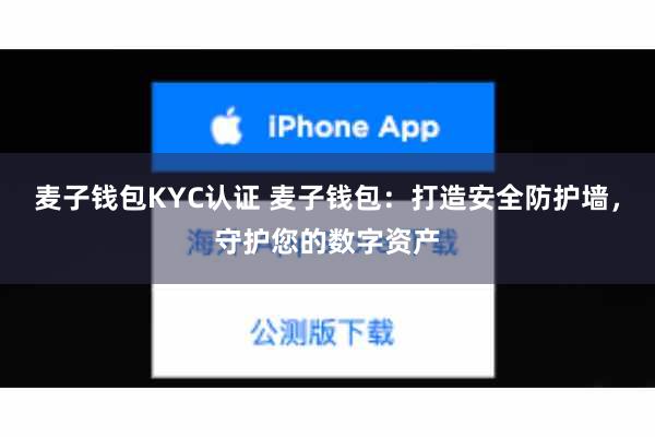 麦子钱包KYC认证 麦子钱包：打造安全防护墙，守护您的数字资产