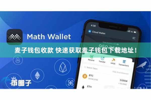 麦子钱包收款 快速获取麦子钱包下载地址！