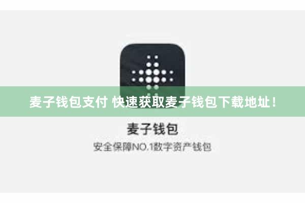 麦子钱包支付 快速获取麦子钱包下载地址！