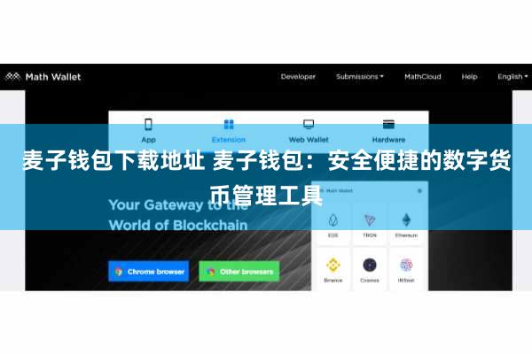 麦子钱包下载地址 麦子钱包：安全便捷的数字货币管理工具