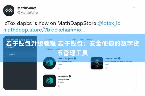 麦子钱包升级教程 麦子钱包：安全便捷的数字货币管理工具