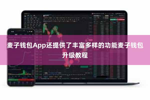 麦子钱包App还提供了丰富多样的功能麦子钱包升级教程