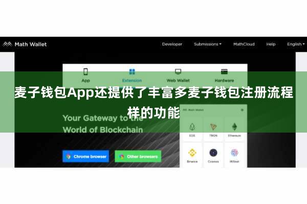 麦子钱包App还提供了丰富多麦子钱包注册流程样的功能