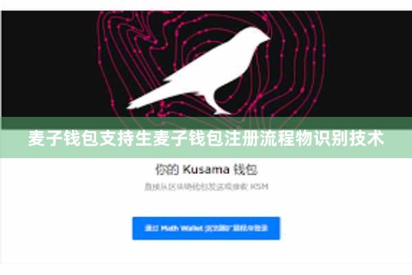 麦子钱包支持生麦子钱包注册流程物识别技术
