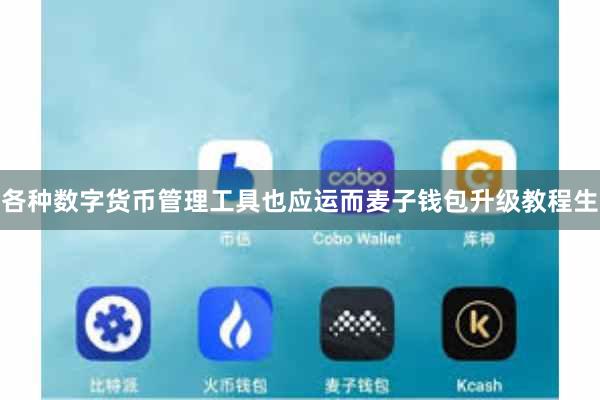 各种数字货币管理工具也应运而麦子钱包升级教程生