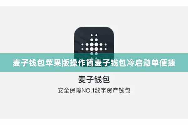 麦子钱包苹果版操作简麦子钱包冷启动单便捷