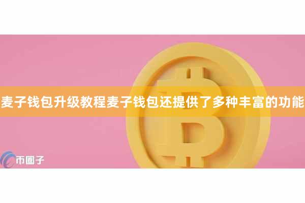 麦子钱包升级教程麦子钱包还提供了多种丰富的功能