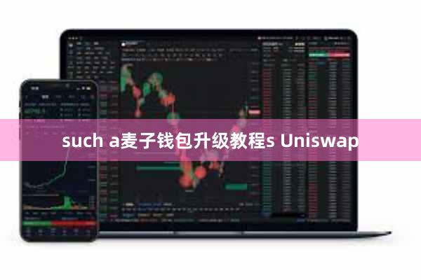 such a麦子钱包升级教程s Uniswap