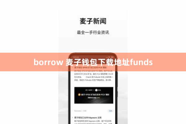 borrow 麦子钱包下载地址funds