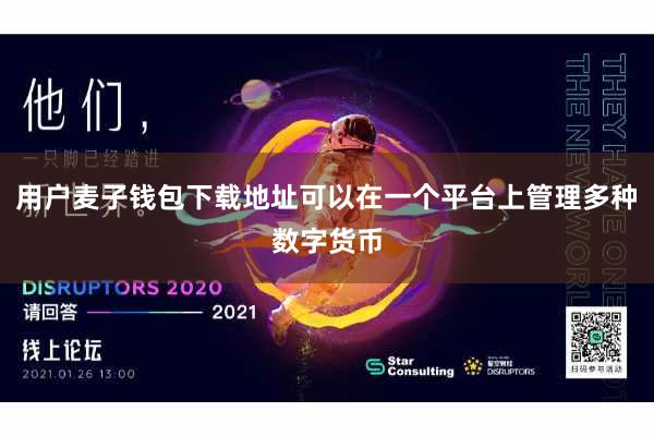 用户麦子钱包下载地址可以在一个平台上管理多种数字货币