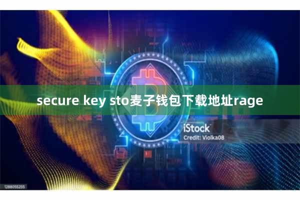 secure key sto麦子钱包下载地址rage
