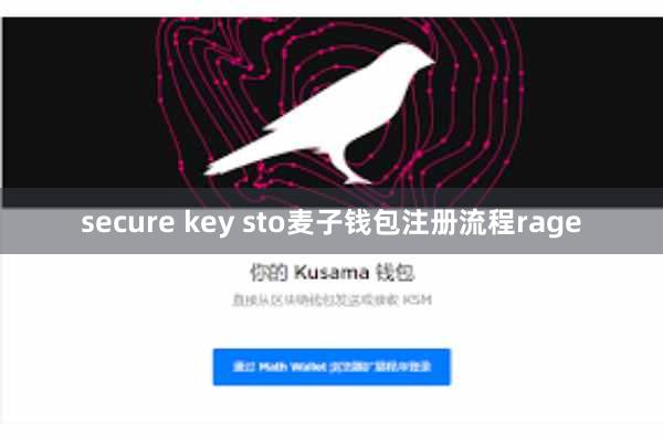 secure key sto麦子钱包注册流程rage