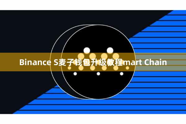 Binance S麦子钱包升级教程mart Chain