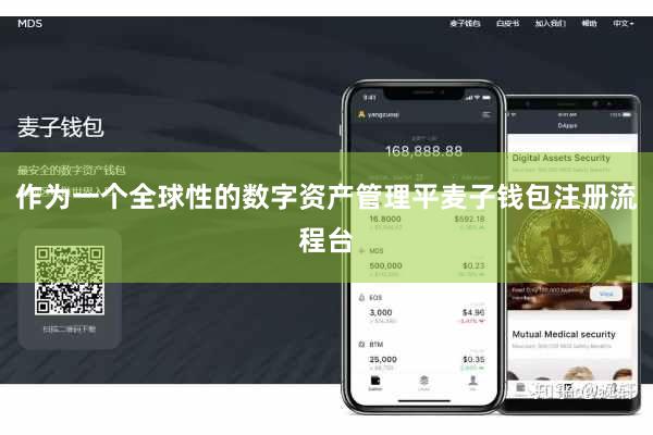 作为一个全球性的数字资产管理平麦子钱包注册流程台
