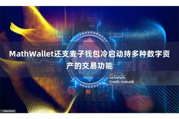 MathWallet还支麦子钱包冷启动持多种数字资产的交易功能