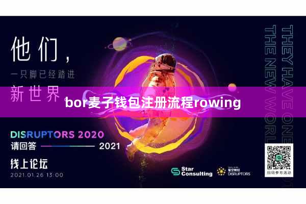 bor麦子钱包注册流程rowing