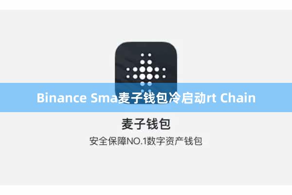 Binance Sma麦子钱包冷启动rt Chain