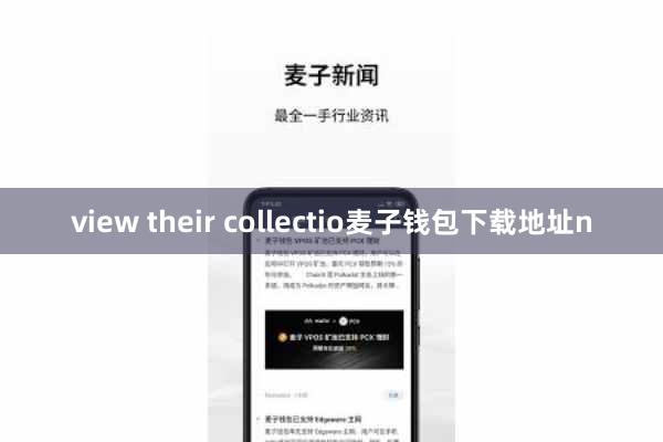 view their collectio麦子钱包下载地址n