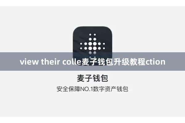 view their colle麦子钱包升级教程ction