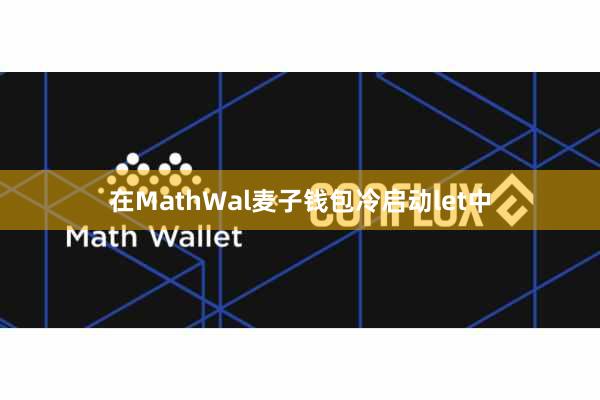 在MathWal麦子钱包冷启动let中