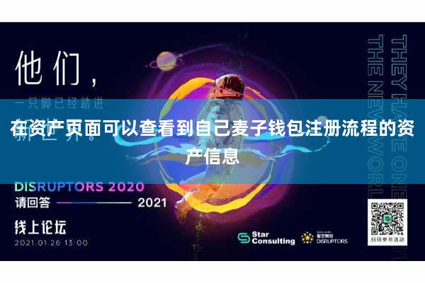 在资产页面可以查看到自己麦子钱包注册流程的资产信息