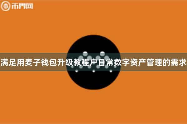 满足用麦子钱包升级教程户日常数字资产管理的需求