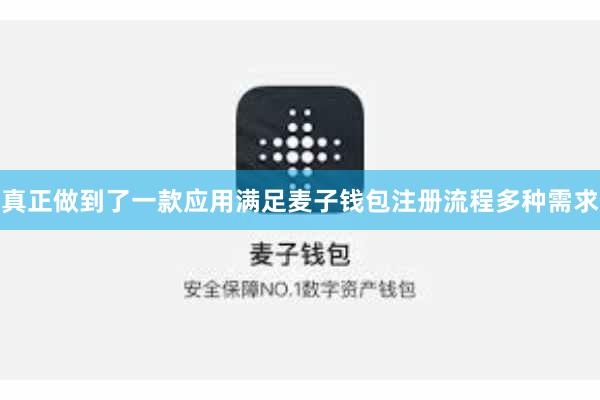 真正做到了一款应用满足麦子钱包注册流程多种需求
