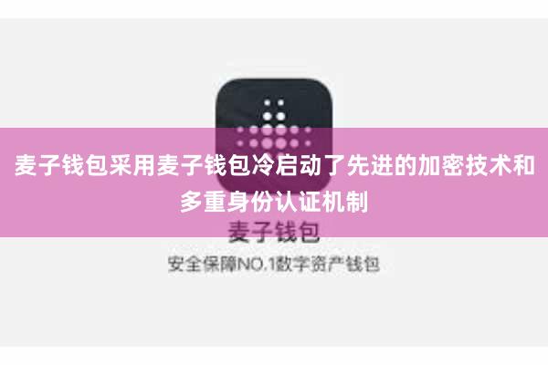 麦子钱包采用麦子钱包冷启动了先进的加密技术和多重身份认证机制