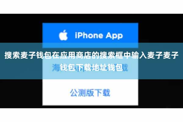 搜索麦子钱包在应用商店的搜索框中输入麦子麦子钱包下载地址钱包