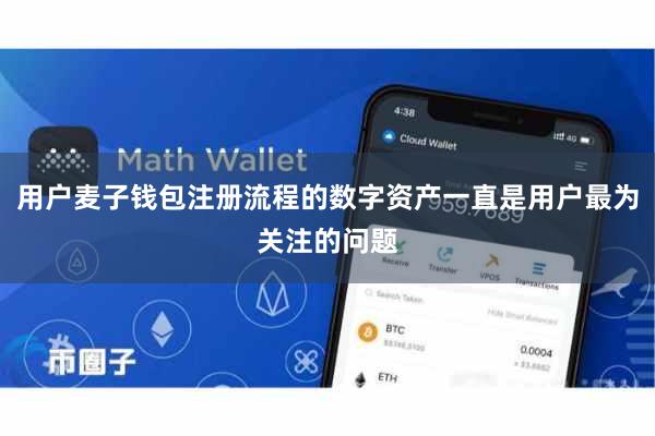 用户麦子钱包注册流程的数字资产一直是用户最为关注的问题