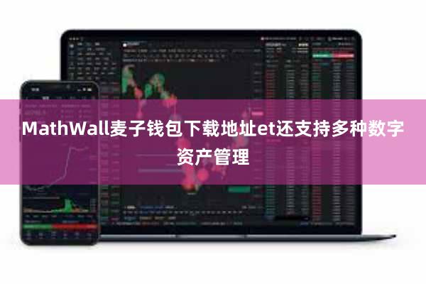 MathWall麦子钱包下载地址et还支持多种数字资产管理